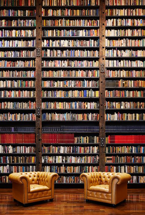 Tom Harris © Hedrich Blessing. Courtesy of Rebuild Foundation. One might think that an abandoned 1920s bank on Chicago's South Side, crumbling from top to bottom—the roof long collapsed, exposing the interior to snow and rain for years—would be destined for a wrecking ball. Like so many other Cool Bookshelves, Dream Library, Beautiful Library, Banks Building, Grand Budapest Hotel, Design Library, Leather Chairs, Island Art, Home Libraries