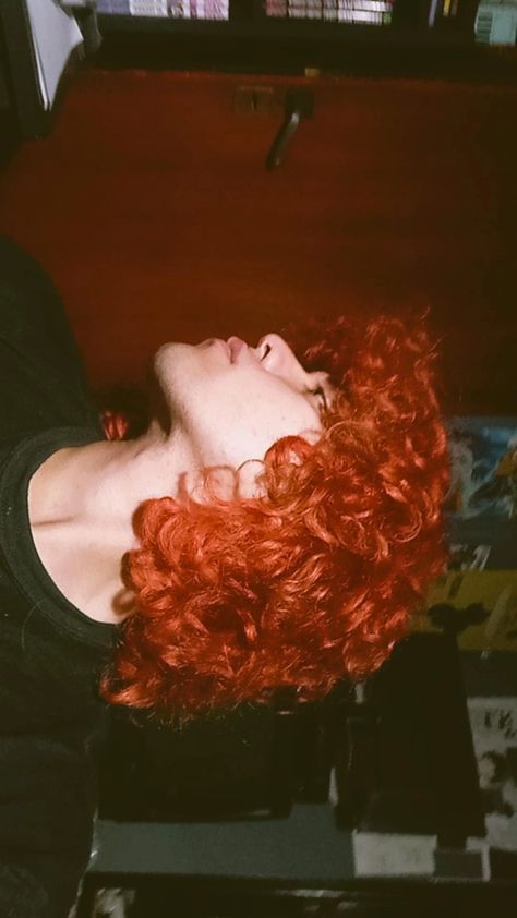 Orange Curly Hair Men, Ginger Curly Hair Men, Curly Red Hair Men, Red Curly Hair Men, Curly Ginger Hair Men, Orange Hair Men, Red Hair Guy, Ginger Afro, Curly Orange Hair