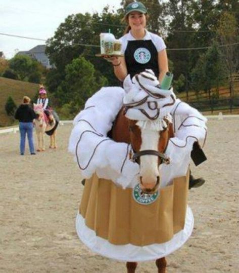 Horse Halloween Ideas, Horse Fancy Dress, Starbucks Costume, Horse Halloween Costumes, Halloween Fits, Horse Costumes, Hallowen Costume, Horse Dressage, Funny Horses