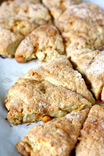 Fresh Apple Cinnamon Scones - these are delicious, and make your house smell like cinnamon! Apple Cinnamon Scones, Apple Scones, Scone Recipes, Cinnamon Scones, Coffee Cakes, Scone Recipe, Apple Cinnamon, Cinnamon Apples, Apple Recipes