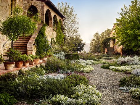 In his native Italy, garden designer Luciano Giubbilei has created a verdant oasis that grows under the Tuscan sun. Italian Backyard, Luciano Giubbilei, Mediterranean Garden Design, Tuscan Garden, Tuscan Landscaping, Mediterranean Landscaping, Under The Tuscan Sun, Sun Garden, Australian Garden