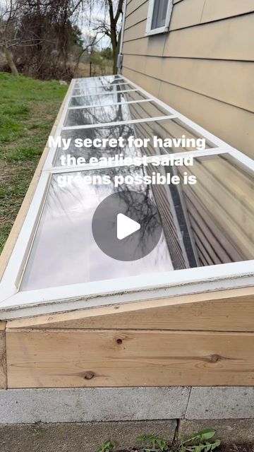 Iv had a cold frame like this for over 7 years now. I love it so much that I don’t plant greens anywhere else on our homestead. I’m a... | Instagram Picture Frame Greenhouse, Diy Cold Frame, Cold Frame Greenhouse, Cold Frame Diy, Cold Frame Gardening, Cockle Shells, Pigeon House, Texas Garden, Cold Frames