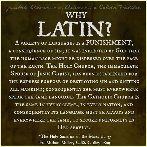 Latin Mass Traditional, Catholic Latin Phrases, Latin Prayers, Catholic Symbols, Traditional Catholicism, Catholic Beliefs, Latin Quotes, Catholic Pictures, Latin Mass