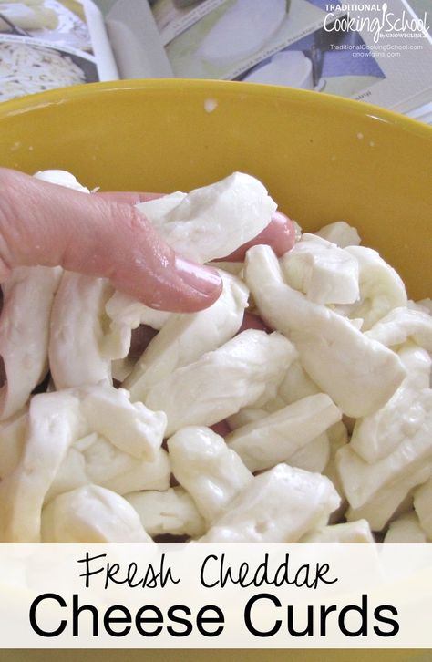 Homemade Cheese Curds, Easy Homemade Cheese, Cheese Curds Recipe, Cheddar Cheese Curds, Stocked Pantry, Cheese Recipes Homemade, Cheese Making Recipes, Diy Cheese, Homemade Mayo