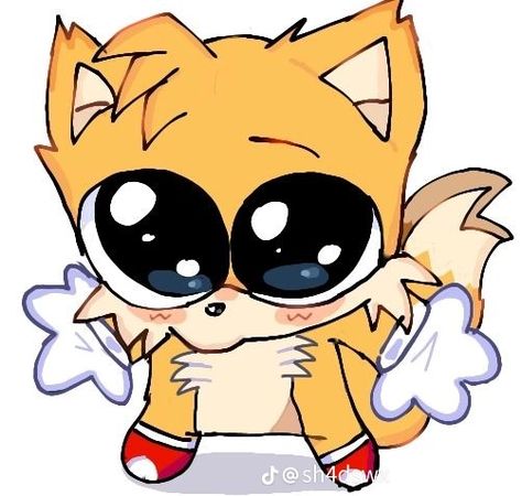 Tails Sonic The Hedgehog, Sonic Videos, Classic Sonic, Sonic Funny, Sonic Fan Characters, Sonic Franchise, Hedgehog Art, Sonic And Shadow, Sonic Fan Art