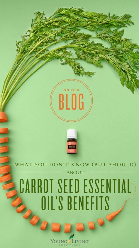 Carrot Seed Oil Benefits, Carrot Seed Essential Oil, Essential Oil Education, Natural Oils For Skin, Yl Oils, Yl Essential Oils, Carrot Seed Oil, Carrot Seeds, Essential Oil Benefits