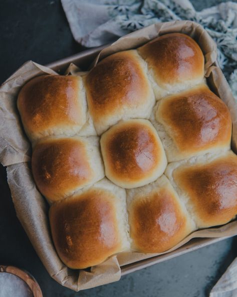 Milk Buns - Feeding The Frasers Side For Dinner, Milk Buns, Milk Bun, Honey Milk, Yummy Biscuits, Moist Banana Bread, Beer Bread, Breakfast Sandwiches, Bread Bun