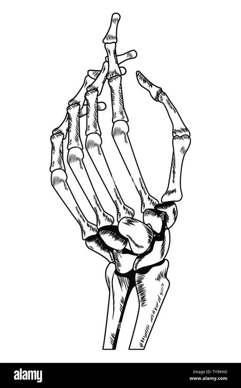 Hand Tattoos To Draw, Tattoos To Draw, Hand Holding Tattoo, Skeleton Hand Tattoos, Skeleton Hands Drawing, Roots Drawing, Hand Holding Something, Skeleton Finger, Skeleton Arm