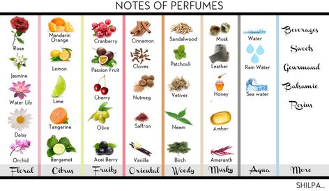 The Perfect Guide to Perfume Notes and How to Choose 'em! Perfume Notes, Homemade Perfume, Perfume Recipes, Perfume Photography, Luxury Perfumes, Perfumes For Women, Perfume Reviews, Oil Perfume, Perfume Store