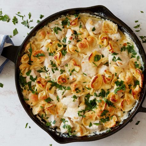 Skillet Chicken Tortellini Alfredo, Chicken Tortellini Alfredo, Tortellini Alfredo, Chicken Tortellini, Pasta Meals, Tortellini Recipes, Iron Recipes, 30 Minute Dinners, One Skillet Meals