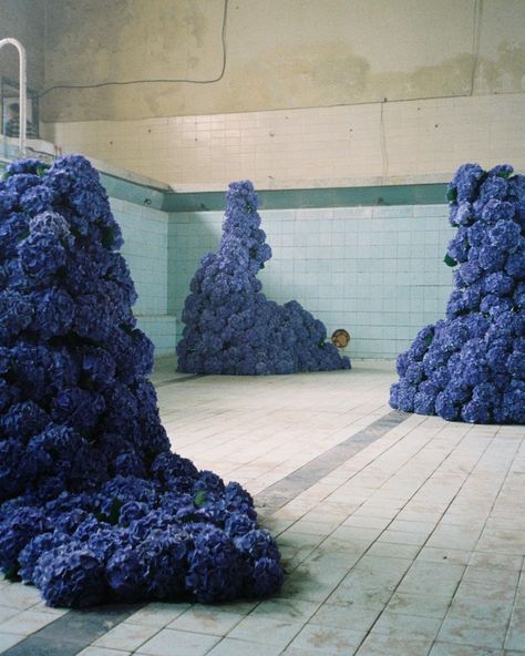 Hydrangea Installation, Hydrangea Cloud, Nontraditional Bride, Blue Flower Arrangements, Colorado Destination Wedding, Jessica Williams, Wedding Design Decoration, Flower Installation, Blue Wedding Flowers