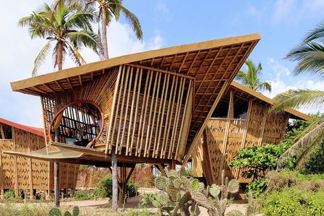 Turtle Sanctuary, Bamboo Building, Bamboo House Design, Facade Panel, Bamboo Structure, Bamboo Architecture, Desain Lanskap, Bamboo House, Mexico Resorts