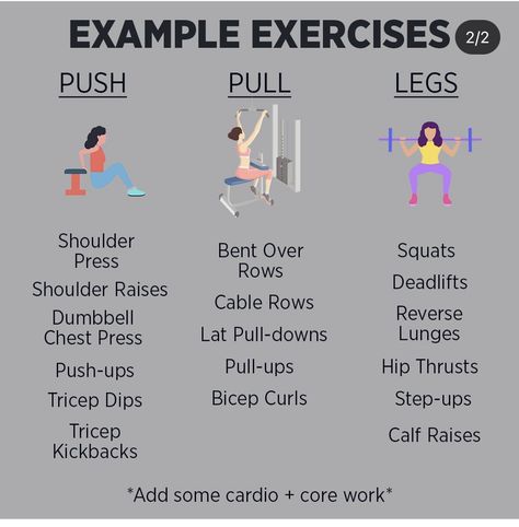 Push Pull Legs Workout Women, Push Day Workout Women Beginner, Push Pull Legs Workout Plan For Women Beginner, Push Pull Legs Workout Plan For Women, Pull Day Workout Women, Compound Workouts, Push Exercises, Pull Exercises, Push Pull Legs Workout