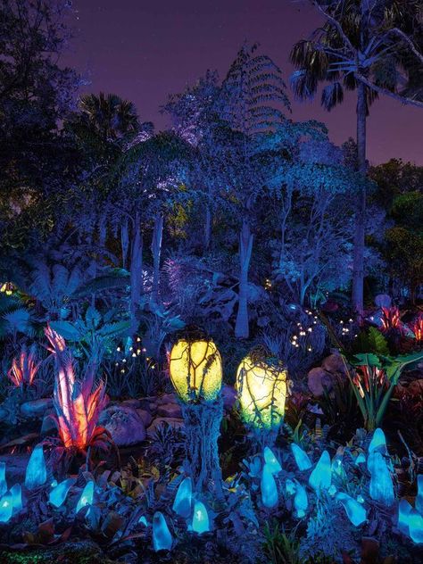 New Nighttime Photos of 'Pandora - The World of Avatar' Released | The Kingdom Insider Avatar Nature, Nighttime Photos, Pandora Art, Orlando Museum Of Art, Avatar Theme, Deco Jungle, Pandora Avatar, Avatar Movie, Avatar World