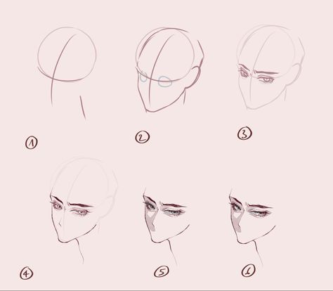 3/4 view from above Anime Head Reference, Head Reference, Head Base, 얼굴 드로잉, Drawing Tutorial Face, Drawing Eyes, Drawing Heads, Anime Head, Face Drawing Reference