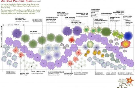 Planting Design Plan, Evergreen Landscape Front Yard, Planting Layout, Digital Garden, Front Landscape, Uc Davis, Hillside Landscaping, Garden Plan, Dry Garden