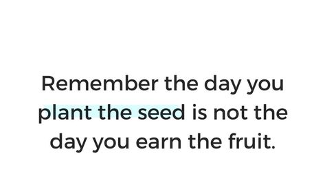 Remember the day you plant the seed is not the day you earn the fruit. Peaceful Life, The Fruit, Screen Time, Vision Board, Affirmations, Seeds, The Day, Inspirational Quotes, Screen