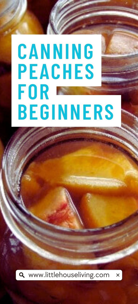 canning peaches for beginners Canning Peaches For Beginners, How To Can Peaches, Can Peaches, Canning Peaches, Canning Tips, Water Bath Canning, Canned Vegetables, Canned Fruit, Money Savers