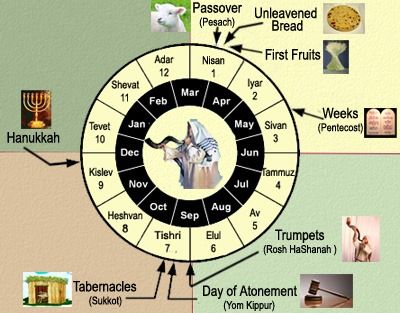 Feasts Circle Chart Yom Teruah, Jewish Feasts, Feasts Of The Lord, Arte Judaica, Jewish Calendar, Feast Of Tabernacles, Jewish Festivals, Learn Hebrew, Bible History