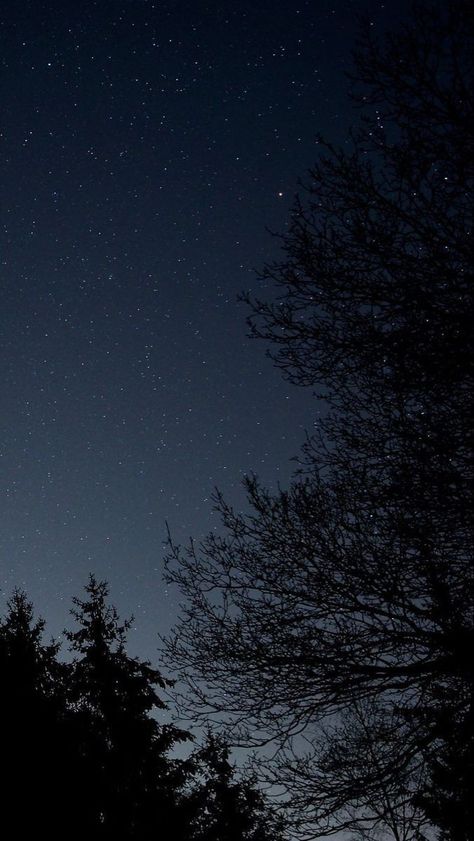 Sky Full Of Stars Aesthetic, Image Ciel, Night Sky Photography, Night Sky Wallpaper, Sky Wallpaper, Sky Full Of Stars, Sky Pictures, Night Scenery, Night Landscape