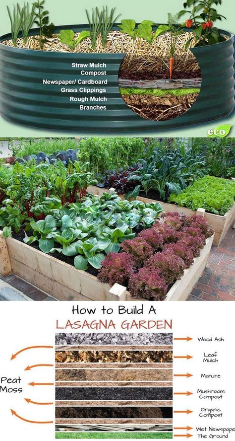 A piece of rainbow - Build garden soil with yard & kitchen waste, like a lasagna! 💚Best ideas: https://www.apieceofrainbow.com/raised-bed/ | Facebook Lasagna Garden, Raised Bed Gardens, Box Planters, Lasagna Gardening, Gardening Backyard, Metal Garden Beds, Raised Bed Garden, Backyard Gardens, Diy Garden Bed