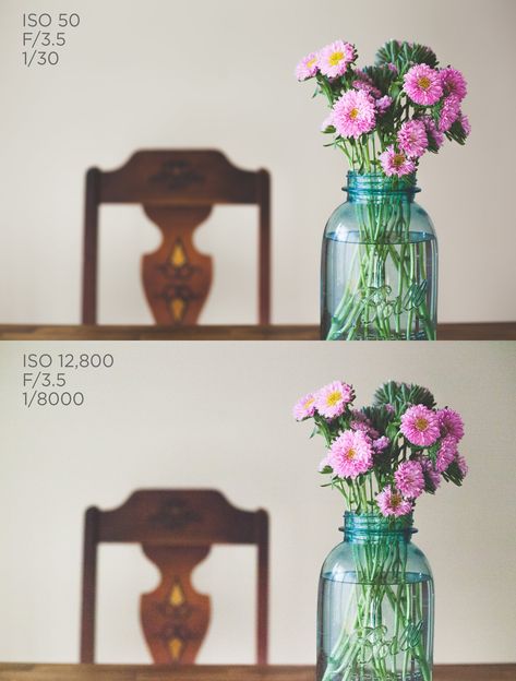 What is ISO & How to Choose the Correct ISO Setting - Pretty Presets for Lightroom High Iso Photography, Iso Setting, Iso Photography, What Is Iso, Iso Settings, Aperture Settings, Pretty Presets, Vintage Lightroom Presets, Lightroom Presets For Portraits