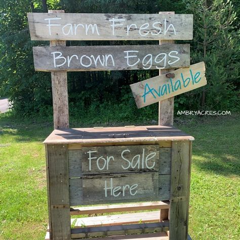 Farm Fresh Brown Eggs for Sale Stand Selling Eggs At Farmers Market, Egg For Sale Sign Ideas, Chicken Egg Sale Stand, Selling Eggs Roadside, Egg Sale Stand, Eggs For Sale Sign Ideas, Eggs For Sale Stand, Egg Stand Roadside Diy, Egg Selling Stand