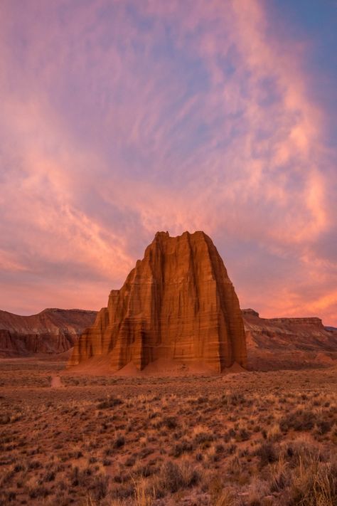 Torrey Utah, Desert Pictures, Olympus Camera, Free Wall Art, Sands Hotel, Utah Hikes, Capitol Reef, Free Printable Wall Art, Capitol Reef National Park