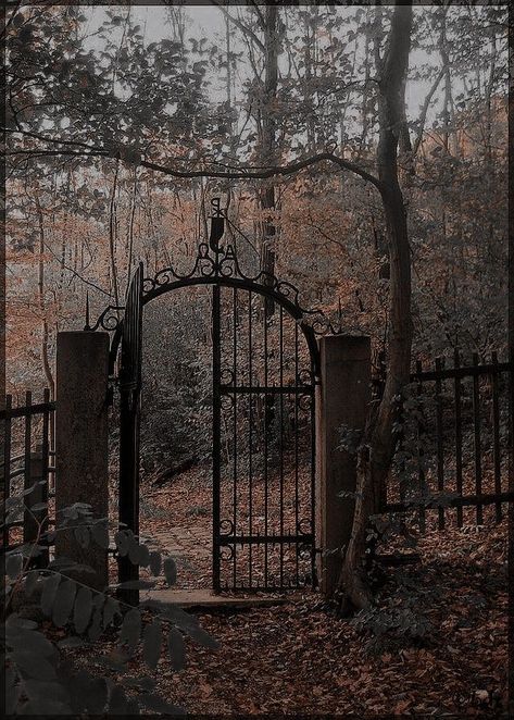 Dark Academia Woods, Abandoned Aesthetic Dark, Old Manor Aesthetic, Dark Acedamia House, Garden Dark Academia, Victorian Garden Aesthetic, Old Mansion Aesthetic, Dark Academia Mansion, Rowan Aesthetic