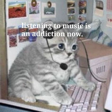 Cat Listening To Music, Mbti Infj, Funny Reaction, Funny Reaction Pictures, Silly Cats, Aesthetic Movies, Infj, Listening To Music, Reaction Pictures