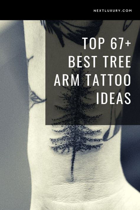 Tattoo Trees Arm, Tree Tattoo Designs Men Half Sleeves, Live Your Dash Tattoo Ideas, Tree Tattoo On Hand, 3 Trees Tattoo, Twisted Tree Tattoo, Tree Tattoos For Women Arm, Japanese Maple Tree Tattoo, Tree Arm Tattoo