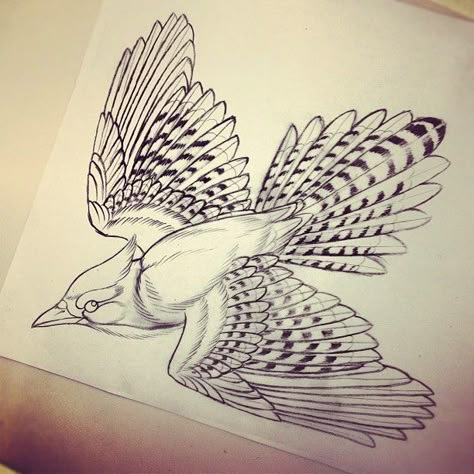 Blue Jay Tattoo, Teacher Tattoos, Word Tattoo Ideas, Word Tattoo, Blue Jay Bird, Raven Tattoo, Old School Tattoo Designs, Tattoo Project, Bird Silhouette