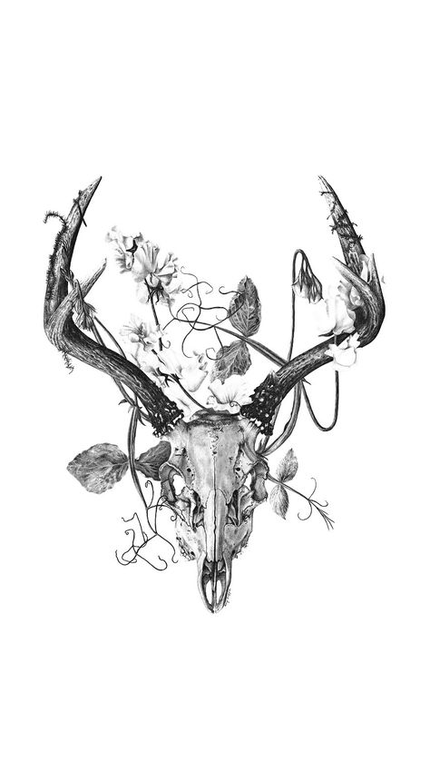 Animal Skull Wallpaper, Skull Art Animal, Animal Skull Art, Antler Tattoo, Deer Skull Tattoos, Deer Skull Art, Bull Skull Tattoos, Tier Tattoo, Nature Tattoo Sleeve