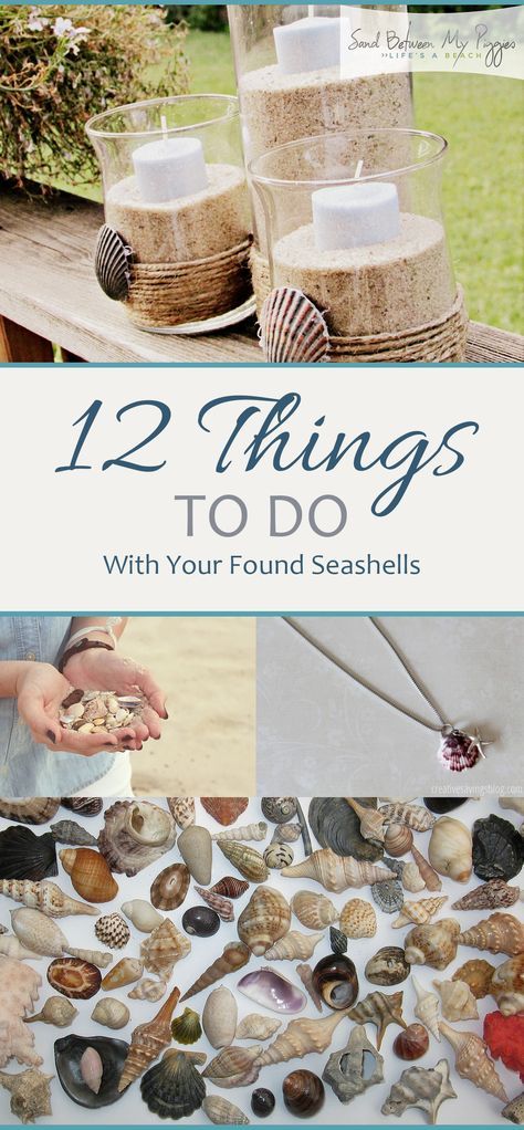 Crafts With Seashells Ideas, Rocks And Shells Craft, Large Seashell Display Ideas, Things To Do With Seashells, Resin Seashell Crafts, Beach Sand Crafts, Crafts With Shells, Seashell Garden, Seashell Diy