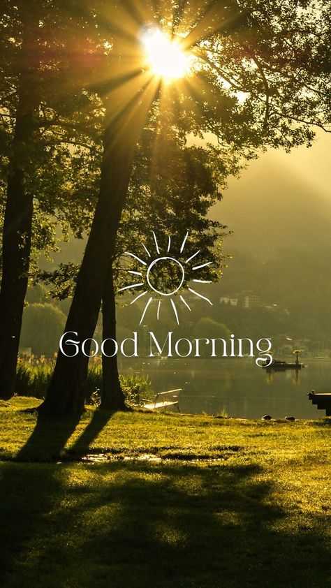 Beautiful Morning Images, Happy Wednesday Images, Good Day Images, Gud Morning Images, Nice Good Morning Images, Good Morning Animals, Photos Of Good Night, Good Morning Clips, Good Morning Happy Monday