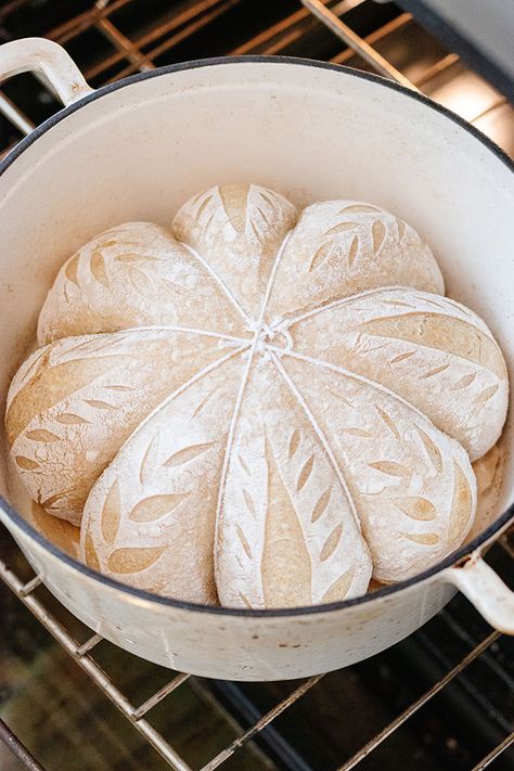 Pumpkin Shaped Sourdough, Bread Scoring Patterns, Sourdough Scoring, Recipe Using Sourdough Starter, Bread Scoring, Sourdough Starter Discard Recipe, Bread Designs, Homemade Sourdough Bread, Sourdough Starter Recipe