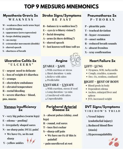 Anatomy Pneumonics, Medical Assistant Note Taking, Nursing Fundamentals Mobility, Med Surg Nursing Notes, Nursing School Wallpaper Iphone, Medsurg Nursing Cheat Sheets, Myathesia Gravis, Npte Study Tips, Nursing School Organization Binder