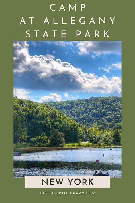 Discover the beauty of nature at Allegany State Park in New York. Immerse yourself in outdoor activities, stunning scenery, and tranquil campsites. Allegany State Park, Park In New York, The Beauty Of Nature, City Guide, State Park, Outdoors Adventure, State Parks, The Beauty, Outdoor Activities