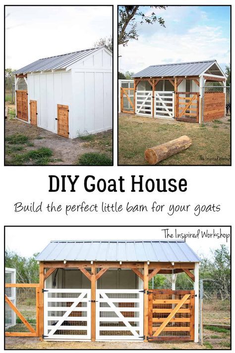 Diy Goat House, Goat Pen Ideas, Goat Pens, Goat Feeders, Goat Fencing, Milking Goats, Goat Fence, Milk Goats, Goat Feeder