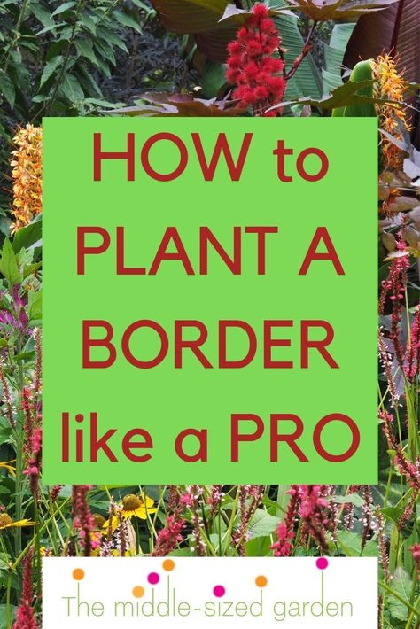 Design tips and practical advice to help you plant a border brilliantly. How to position shrubs and flowers in the best places, plus essential tips. Small Border Planting Ideas, Mixed Border Garden, Long Garden Border Ideas, Planting Plans For Borders, Garden Border Planting Plan, Low Maintenance Borders Plants, Garden Border Planting Ideas, Garden Boarder Planting Ideas, Garden Border Design Plans