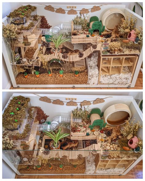 Fairy Garden Hamster Cage, Hamster Cage Ideas Diy Bin, Hamster Diy Toys, Gerbil Cage Ideas, Natural Hamster Cage Ideas, Hamster Enclosure Ideas, Tartaruga Habitat, Diy Hamster House, Hamster Cage Ideas