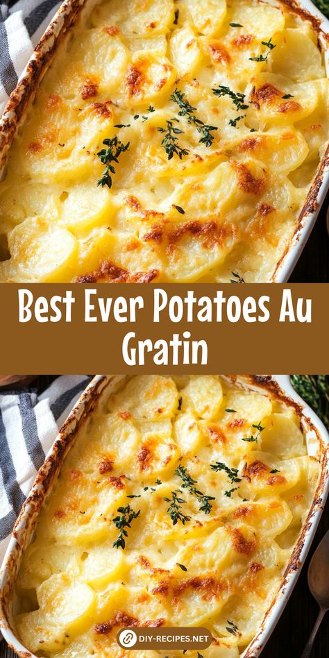 Discover the best Potatoes Au Gratin recipe! Creamy, cheesy, and perfectly golden, this dish is perfect for holidays or a special family meal. At Gratin Potatoes Recipe, Chicken And Potato Au Gratin Casserole, Potatoes Cheese Recipes, Homemade Potato Au Gratin, Gold Potato Recipes Easy, Idaho Potatoes Recipes, Homemade Cheese Potatoes, August Gratin Potatoes, Easy Potato Au Gratin Recipes