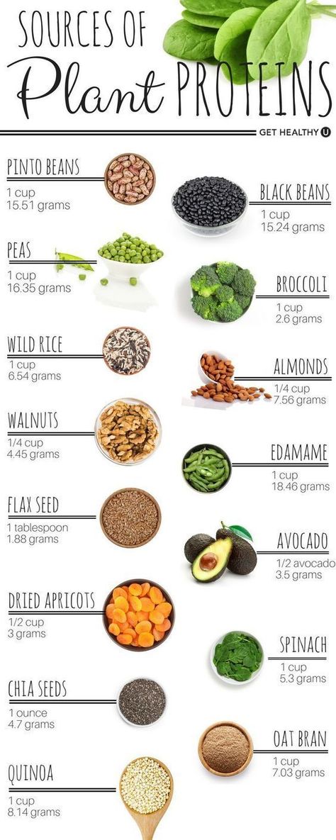 Protein can be found in both animal and plant-based sources! Check out the best plant-based sources of protein and find out how much you really need. #protein #plantbaseddiet #gethealthyu Resep Vegan, Plant Proteins, Healthy Beans, Pasti Sani, Good Eat, Diet Vegetarian, Think Food, Plant Based Eating, Plant Protein