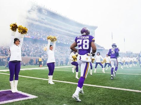 Vikings Game, Future Job, Nfl History, Nfl Games, Future Jobs, Minnesota Vikings, Minnesota, Vikings, Soccer Field