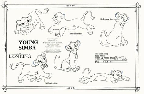 The Lion King Model Sheets ~ Young Simba Young Simba, The Lion King 1994, Walt Disney Characters, Il Re Leone, Lion King Art, Disney Concept Art, Disney Sketches, Walt Disney Animation, Walt Disney Animation Studios