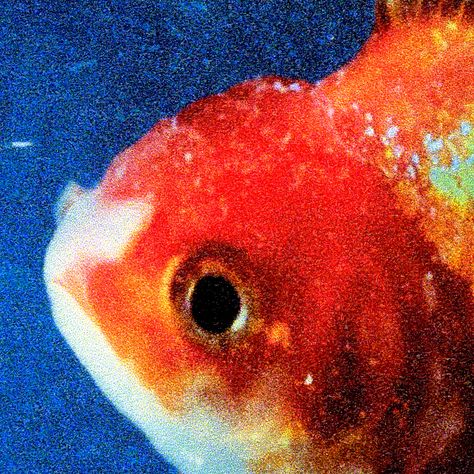 Vince Staples | Big Fish Theory (2017) Big Fish Theory, Ty Dolla Sign, Worst Album Covers, Vince Staples, Double Picture, Cool Album Covers, Ty Dolla Ign, Pochette Album, Great Albums