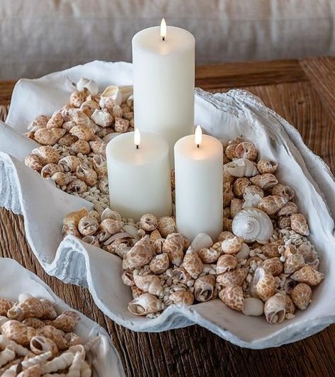 How to Use Clam Shells as Bowls & Planters | Decor Ideas for Giant Clams Candle Display Ideas, Beach Theme Candles, Beach Candle Holder, Florida Beach Cottage, Shell Bowls, Bissell Carpet Cleaner, Giant Clam Shell, Seashell Display, Seashell Collection