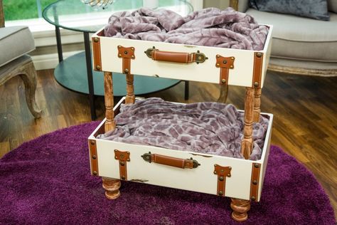 Homemade Cat Beds, Cat Suitcase, Cat Bunk Beds, Cat Tree Plans, Diy Cat Bed, Diy Bunk Bed, Diy Cat Tree, Cat House Diy, Vintage Suitcases