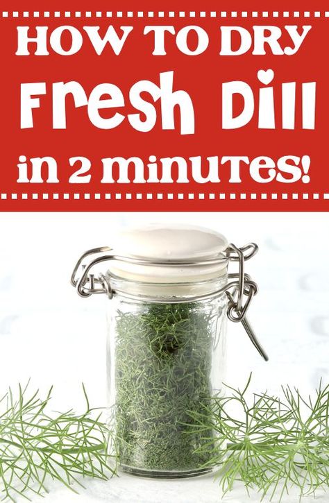 How to Dry Dill in Microwave What To Do With Extra Dill, Dry Dill How To, Dried Dill Recipes, Drying Dill In The Oven, How To Dry Fresh Dill, Can You Freeze Fresh Dill, How To Dry Dill Herbs, Preserving Dill Herb, Dill Seasoning Recipes