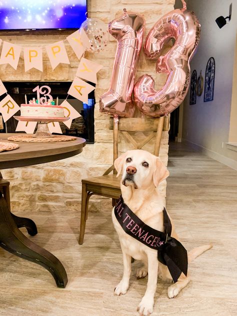 Sweet 16 Dog Birthday, Dog Party Decorations, 13th Birthday Party, Dog Mom Life, Pink Party Decorations, Mom Party, 13th Birthday Parties, Dog Birthday Party, Giant Balloons